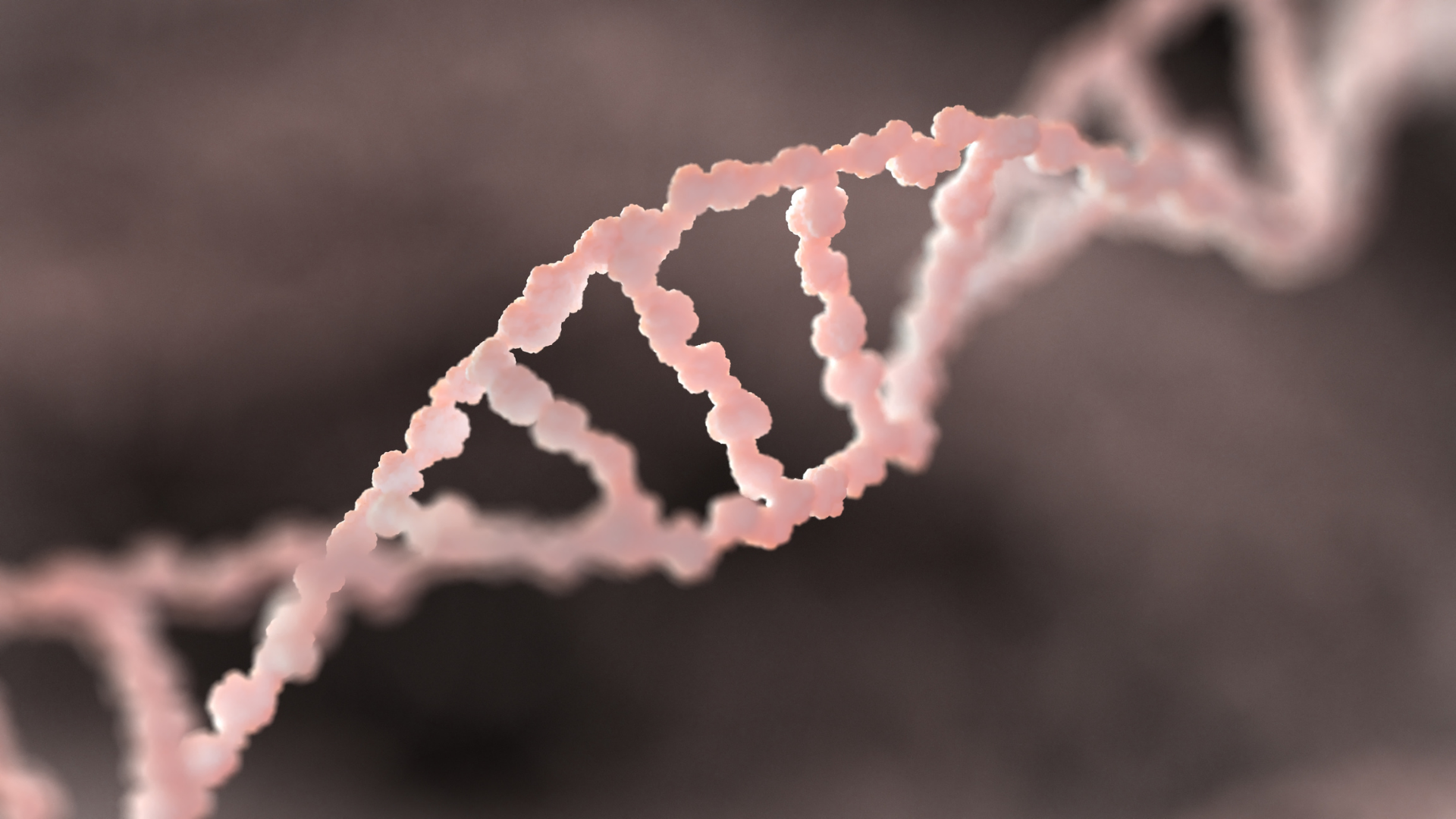 helisa DNA, badania i testy DNA