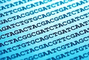 sekwencjonowanie 16S i 18S rDNA