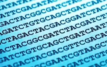 sekwencjonowanie 16S i 18S rDNA